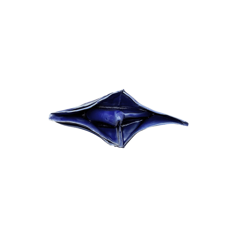 Dekoratif koyu mavi buyuk boy seramik kayigin ust gorunusu_Top view of decorative dark blue ceramic boat