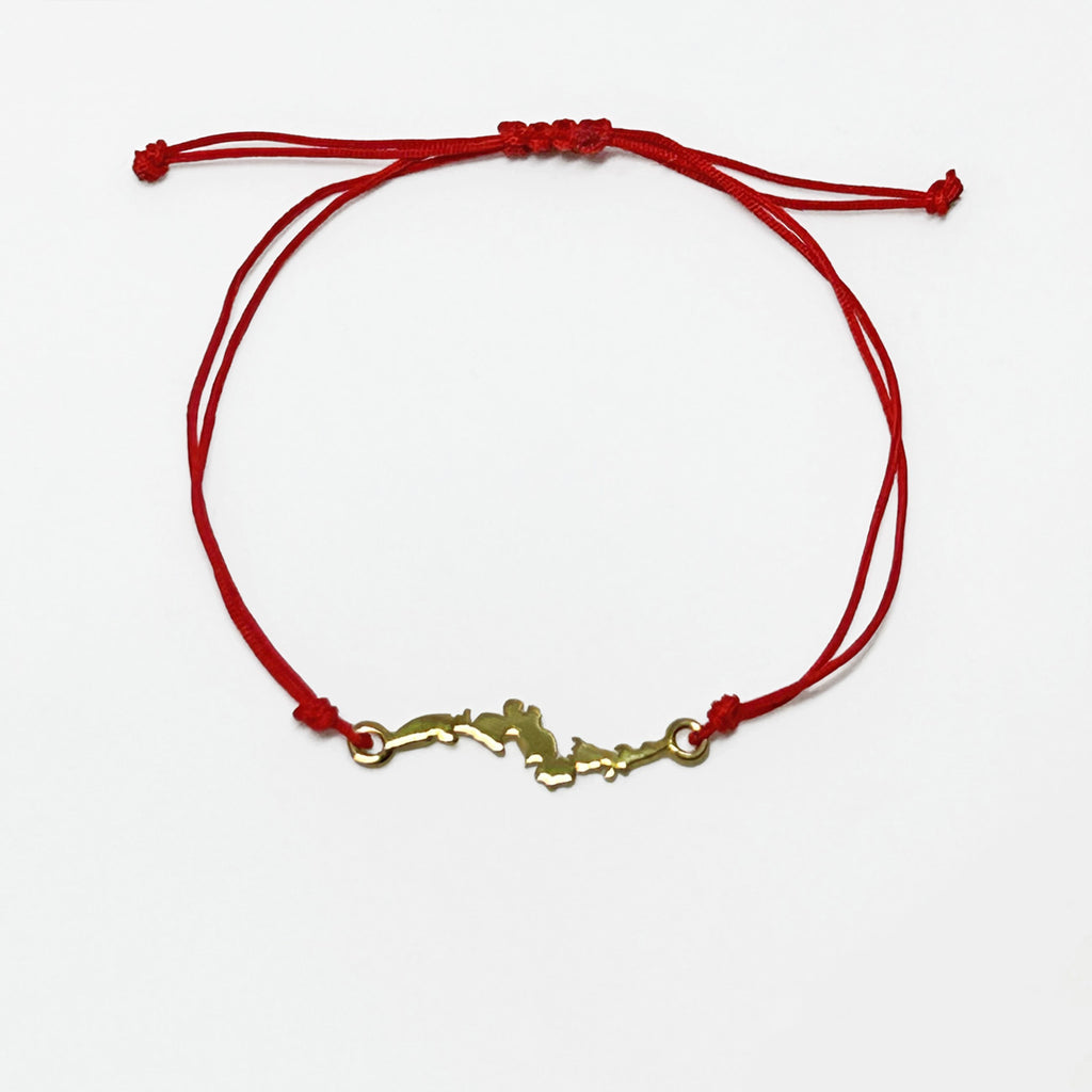 Hazine bekcisi yilan ejder motifli kirmizi ipli bileklik_Red string bracelet with serpent dragon motif known as treasure keeper