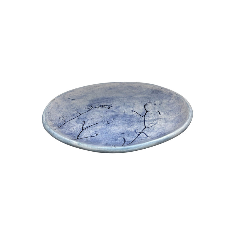 Icıne uc adet bitki baskisi yapilmis acik mavi duz tabak_Light blue flat plate with three plants pressed in it