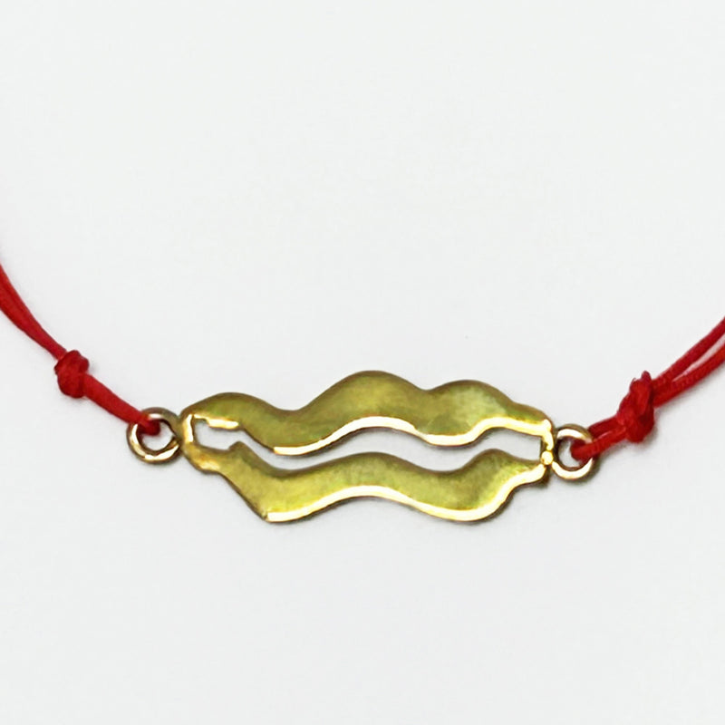 Kirmizi ipte bir Usak halisindan alinma yilan ejder motifli gumus ustu altin kaplama uc_Gold plated silver pendant with serpent dragon motif taken from an Usak carpet on red string