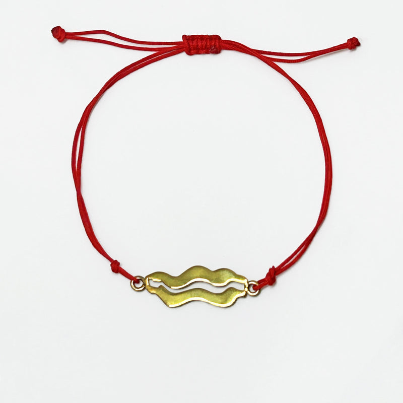 Kuvvet mutluluk ve olmezlik sembolu yilan ejder motifli kirmizi ipli bileklik_Red string bracelet with serpent dragon motif symbolizing power happiness and immortality